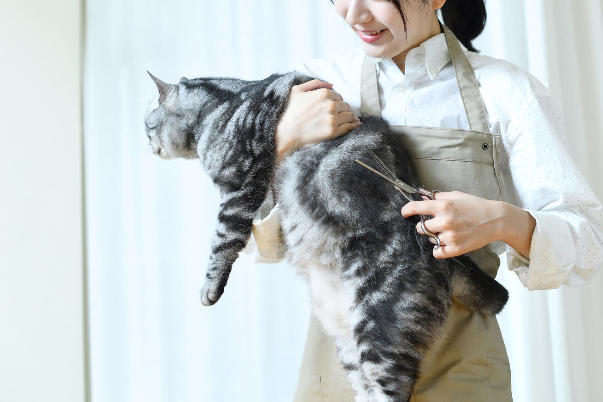 小型犬から猫ちゃんまで幅広く対応できるスタッフが真心込めて施術
