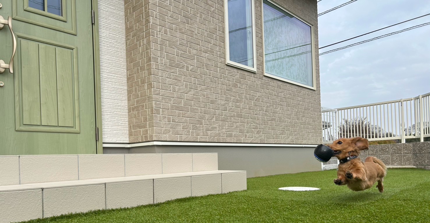 香川 | ペットホテル