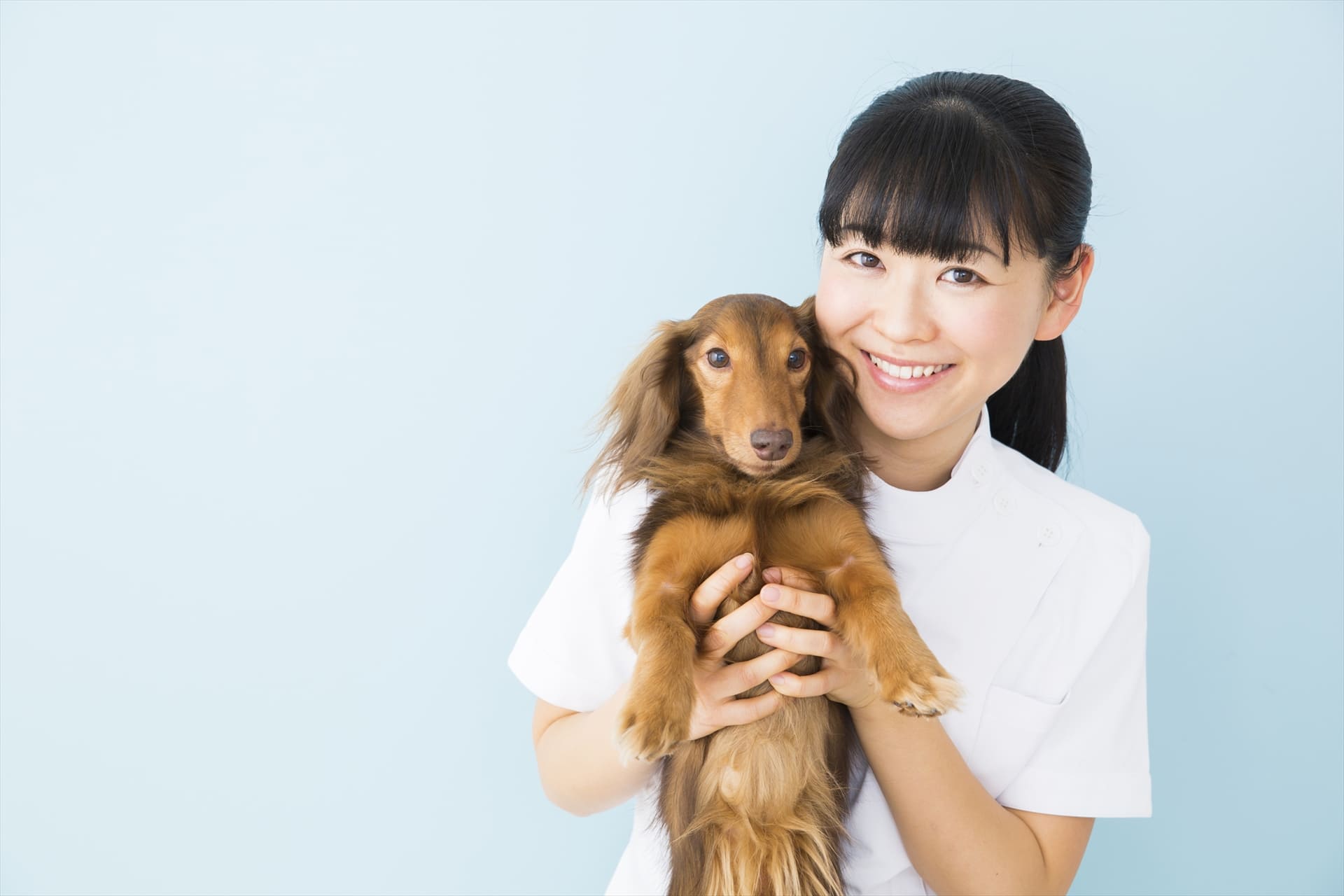 一時預かりの依頼 | 香川のトリミングならPetSalon&Hotel YUURI